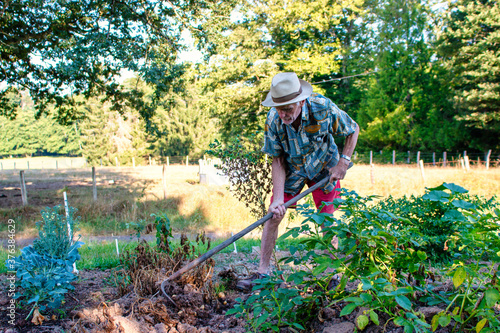Un senior retraité travail dans son jardin