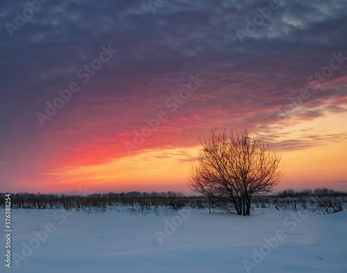 Breathtaking burning sunset sky over snow covered field © haidamac
