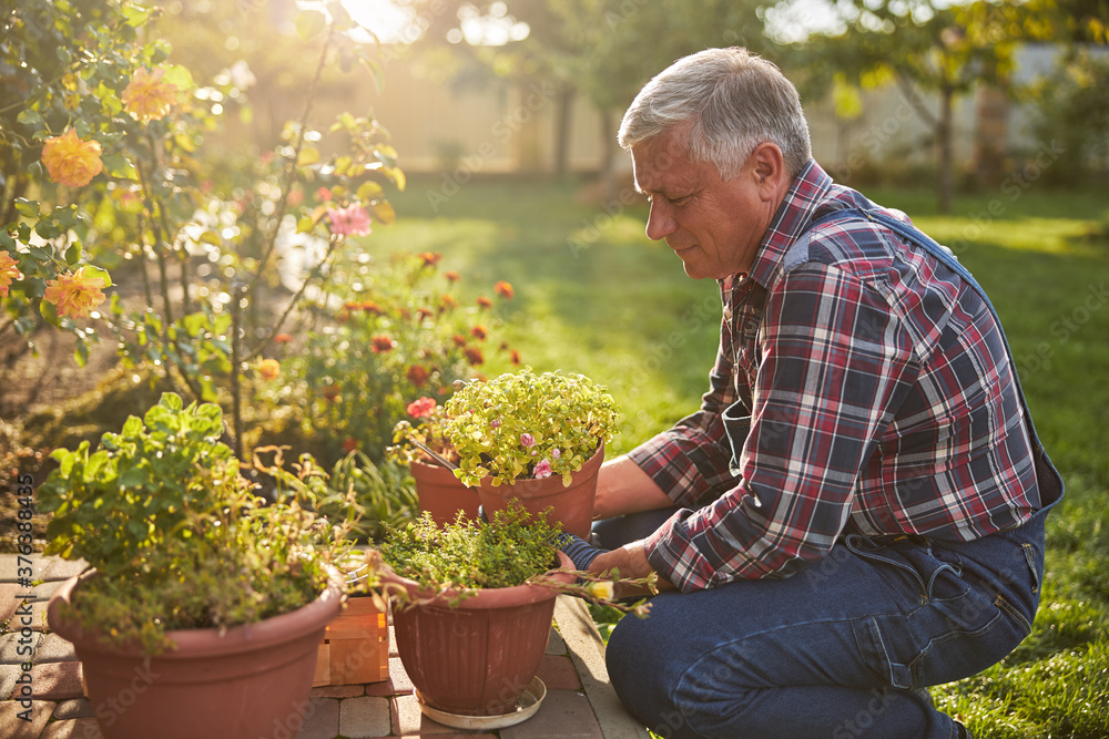 Senior citizen kneeling and holding a blooming potted flower Senior citizen kneeling and holding a blooming potted flower