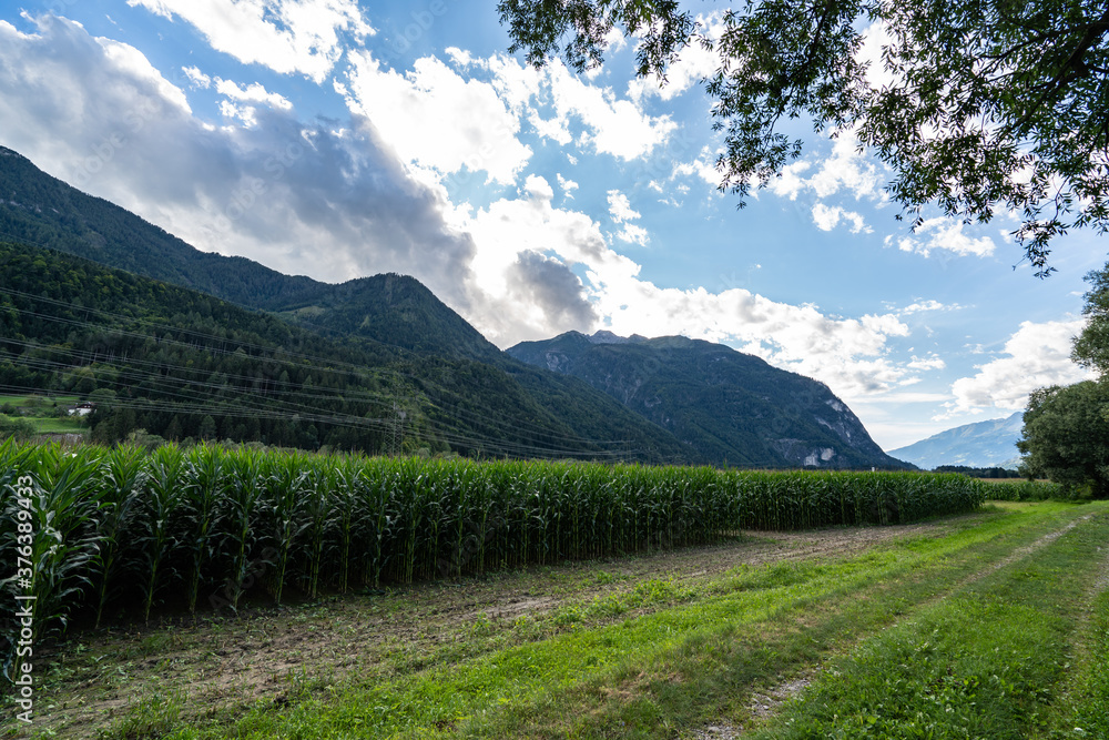 Austrian landscape in Tyrol Austrian landscape in Tyrol