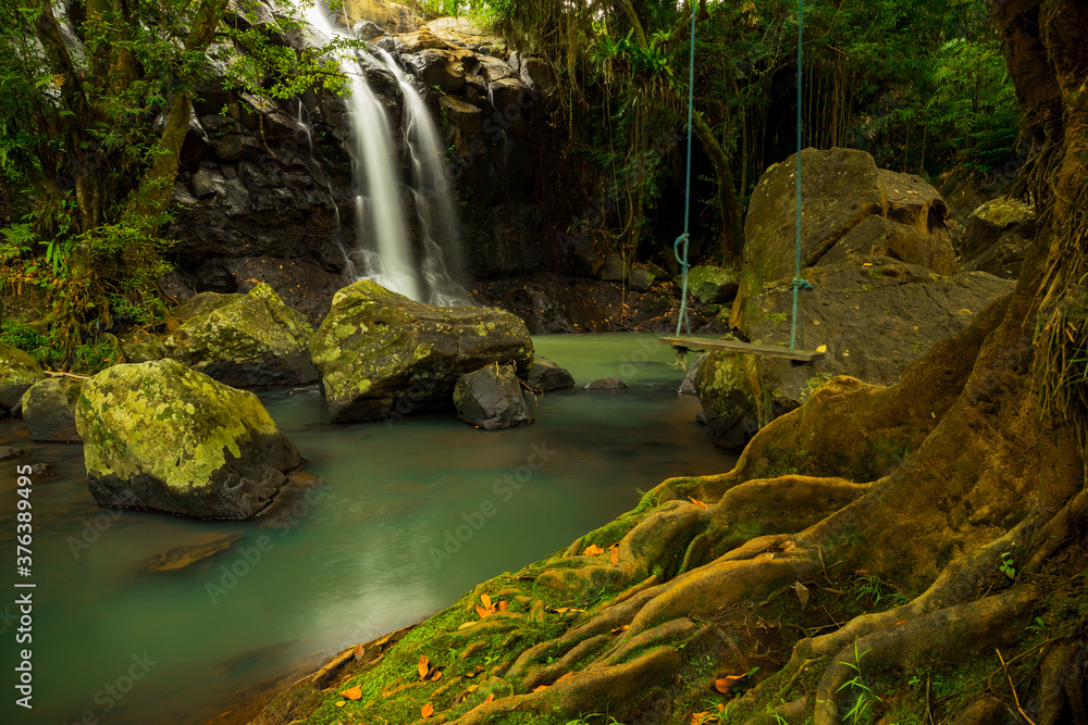 Waterfall landscape. Beautiful hidden waterfall in tropical rainforest. Tree with a swing. Slow shutter speed, motion photography. Sing Sing Angin waterfall, Bali, Indonesia Waterfall landscape. Beautiful hidden waterfall in tropical rainforest. Tree with a swing. Slow shutter speed, motion photography. Sing Sing Angin waterfall, Bali, Indonesia