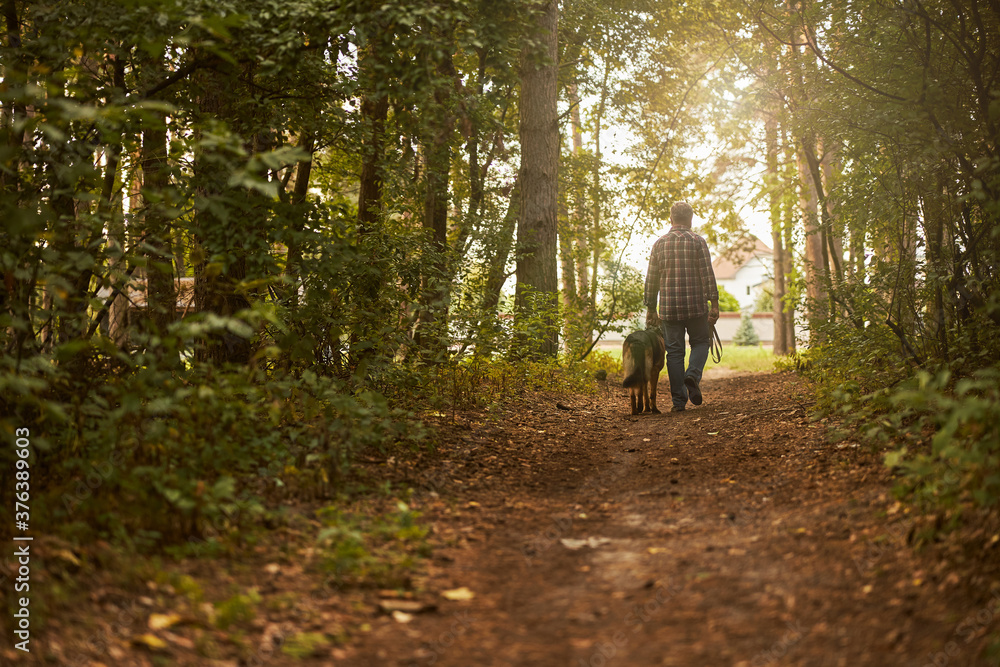 Fototapeta premium Gentleman and his dog walking through the forest