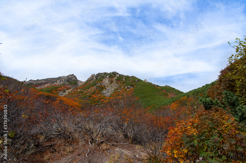 紅葉が美しい御嶽山