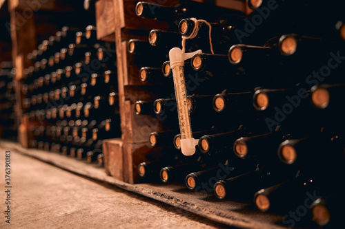 Wine bottles with thermometer stored in wine cellar photo