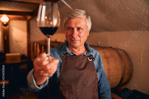 Good-looking winemaker holding glass of red wine photo