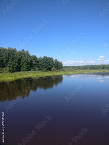 Fototapeta Naklejka Na Ścianę i Meble -  summer landscape with lake