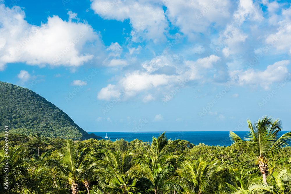Tropic landscape with palms and sea in Guadeloupe