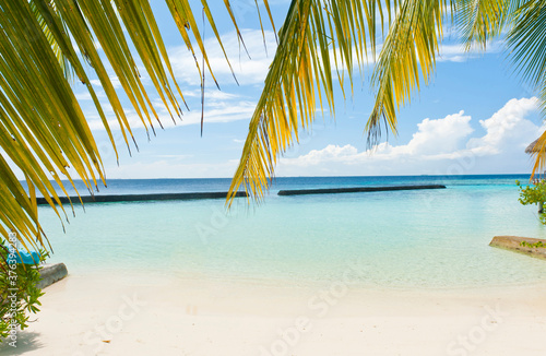Paradise island in the Maldives © Fyle
