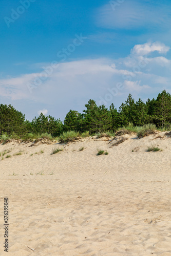 Beautiful dunes on the Baltic Sea