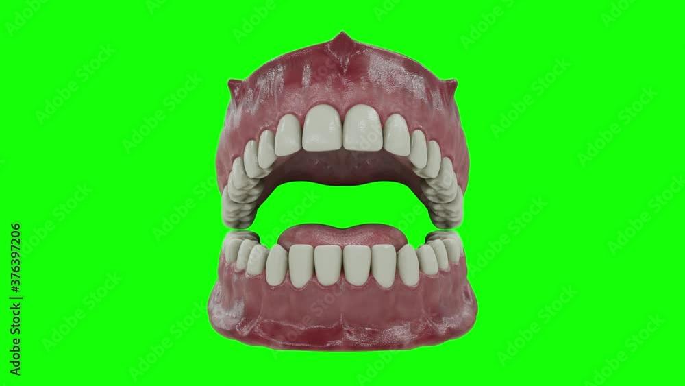 Beautiful White Clean Teeth Zoom Close Up 3D Animation on Green Screen With Alpha Matte Beautiful White Clean Teeth Zoom Close Up 3D Animation on Green Screen With Alpha Matte