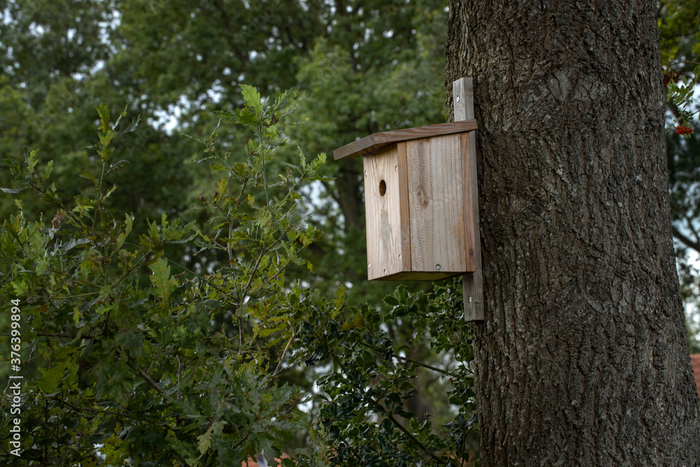 Nest box. Tree stem. Oak. Onna. Netherlands.