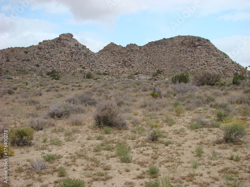 Joshua Tree National Park Arid Landscape Boulders Clouds Rabbit