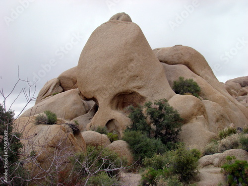 Joshua Tree National Park Arid Landscape Boulders Clouds Rabbit