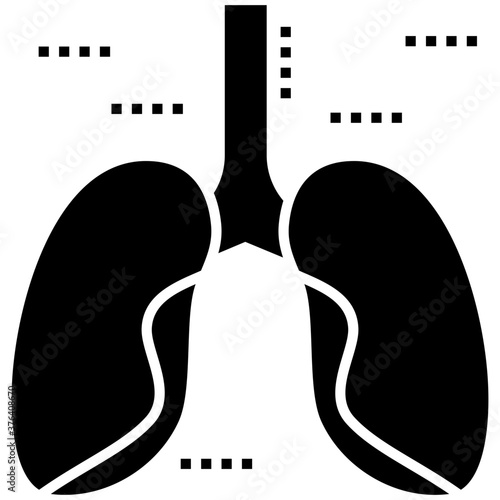 Lungs 