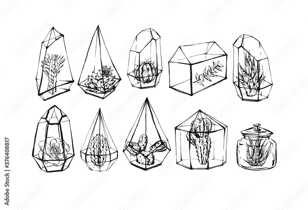 Hand drawn vector abstract stock flat graphic illustrations collection set bundle with succulent and cacti sketch drawing flowers in glass terrariums isolated on white background