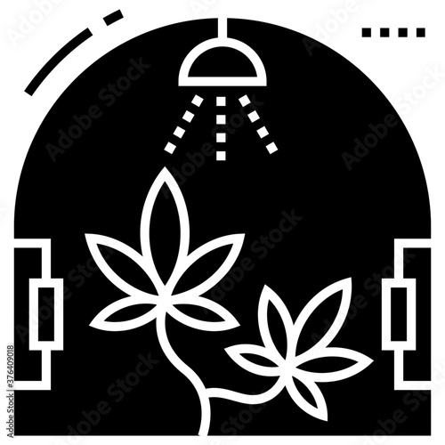 Cannabis Production 