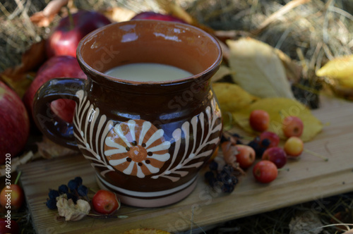  Ceramic mug with milk on a board against a background of apples, dried grass and yellow cherry leaves
