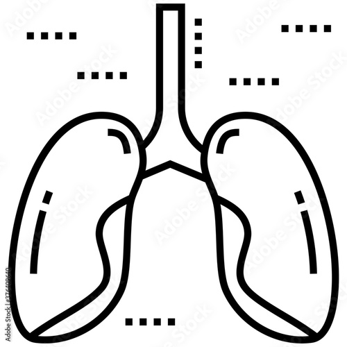 Lungs 