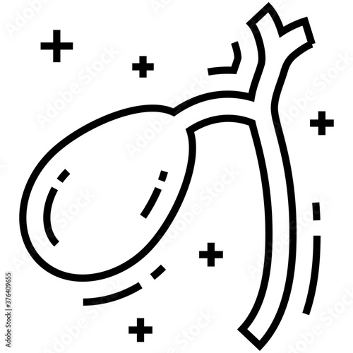 Bladder 