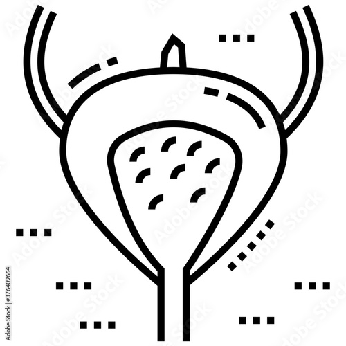 Uterus 
