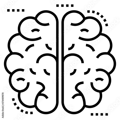 Human Brain 
