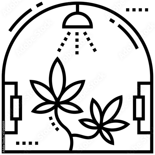 Cannabis Production 