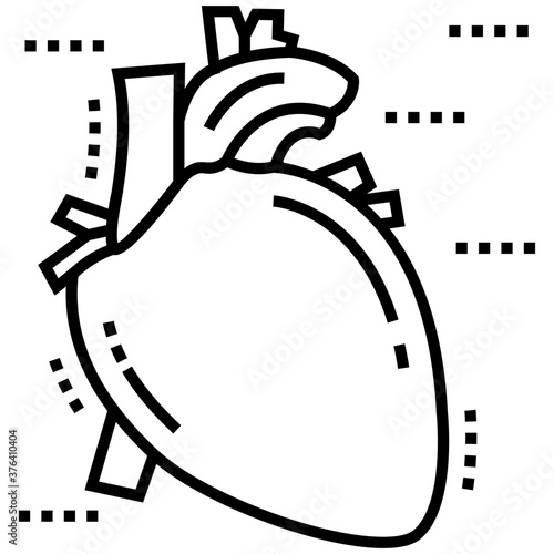 Human Heart 