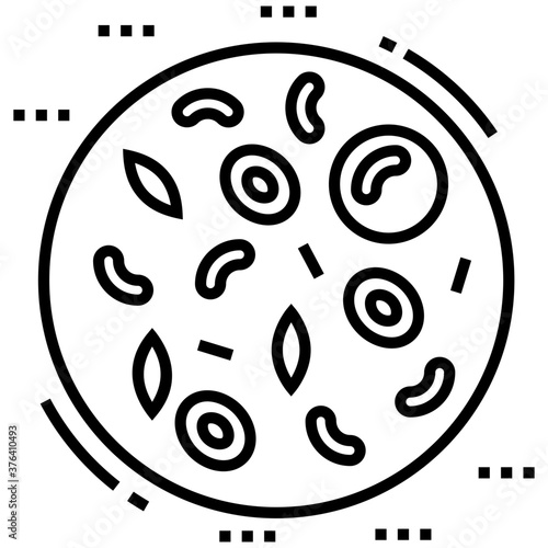 Biological Cell