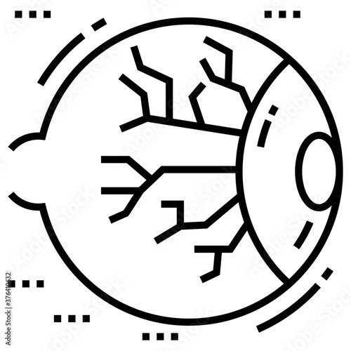 Eye Structure 