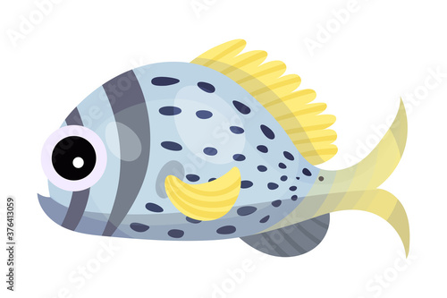 Funny Fish with Side Fins as Marine Animal Vector Illustration