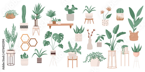 Glass greenhouse with tropical plants. Botanical home garden. House plants and flowers in pots. Gardening elements. Winter garden. Crazy plant lady hand drawn print cactus, tropical leaves.