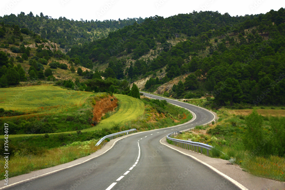 Driving on a winding road in a green environment