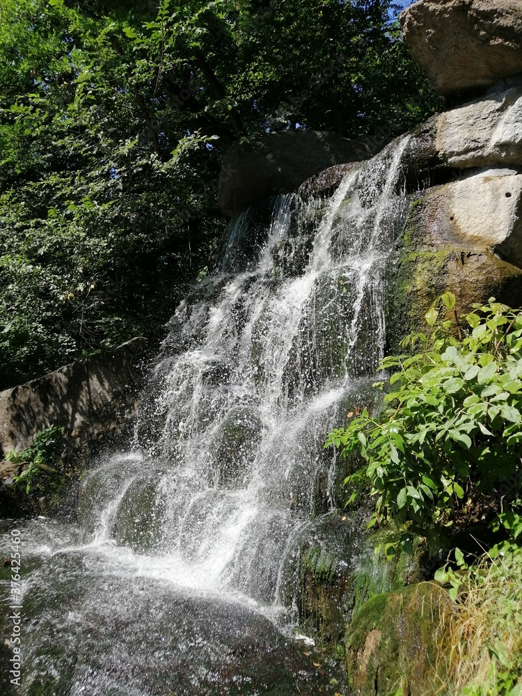 small waterfall in the forest small waterfall in the forest