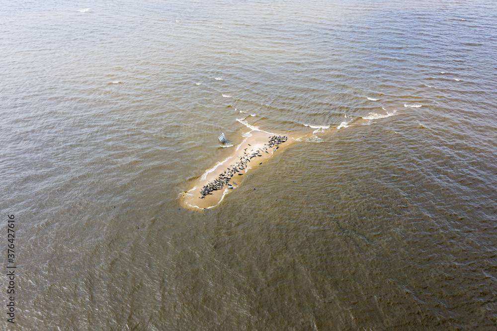 Φωτογραφία Aerial view of the Seal Island near Vistula mouth to the Baltic sea