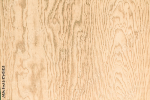 wood texture background for design