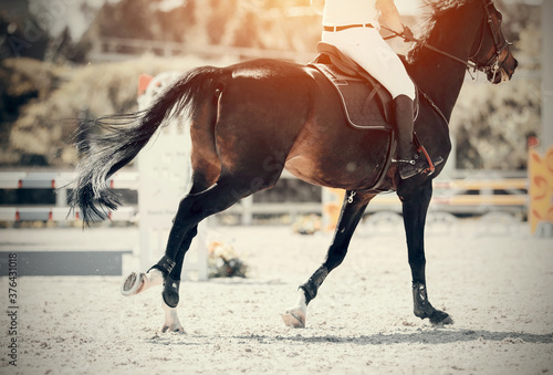 Equestrian sport. Galloping horse. The leg of the rider in the stirrup, riding on a horse.