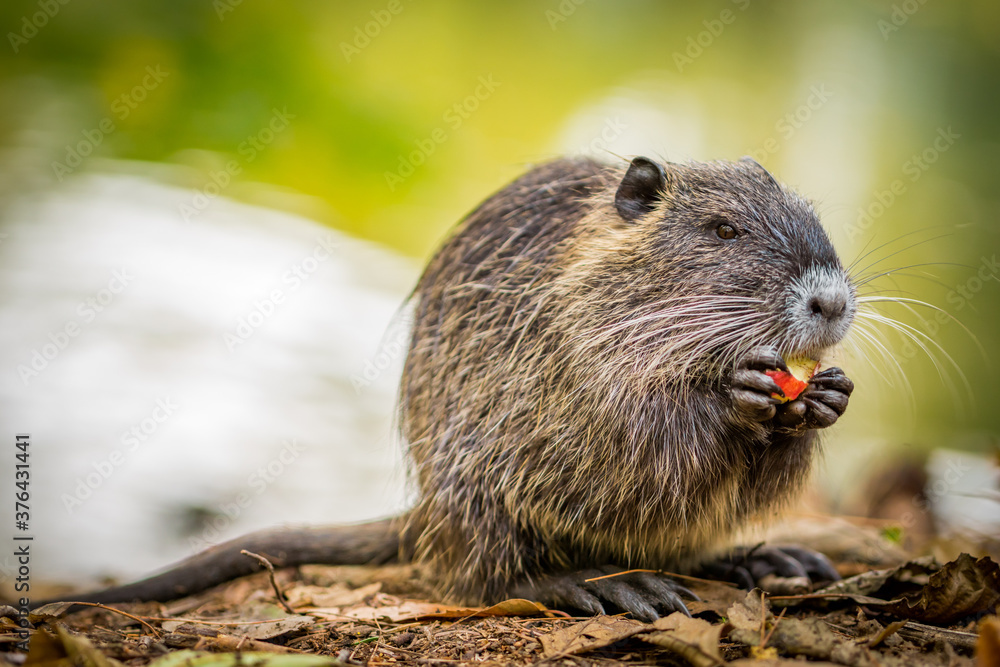 Fotografisches Allerlei aus dem Garten, der Tierwelt und der von Reisen Fotografisches Allerlei aus dem Garten, der Tierwelt und der von Reisen