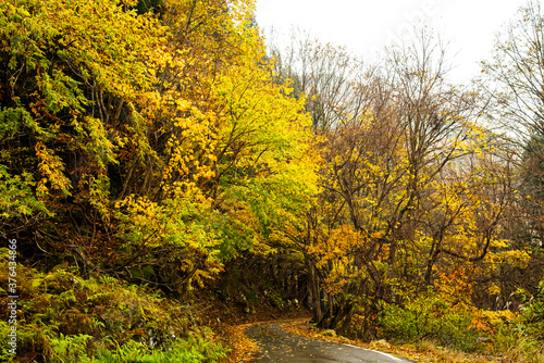 兵庫県・横行渓谷の紅葉風景