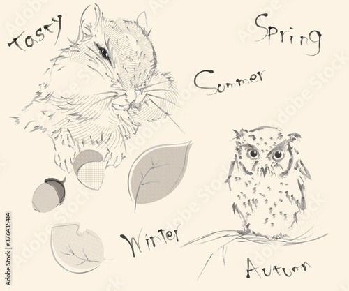 森のリスとフクロウ、手描きイラスト