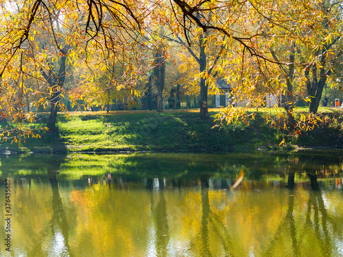 Authentic autumn landscape pond in city park. Yellow leaves fall to ground and into the water. Colorful autumn landscapes with warm colors and footpath covered with sheets. People relaxing in park