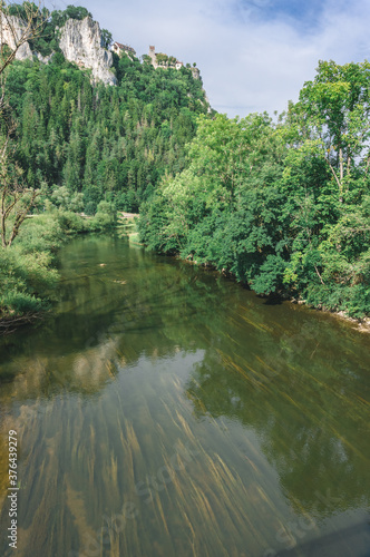 mountain river in the forest