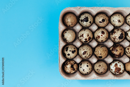Quail eggs in cardboard packaging on blue background. Top view. Copy space.