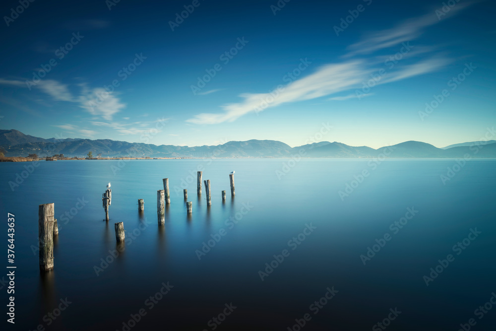 Wooden pier or jetty remains at sunrise. Massaciuccoli lake. Torre del Lago Puccini Versilia Tuscany, Italy
