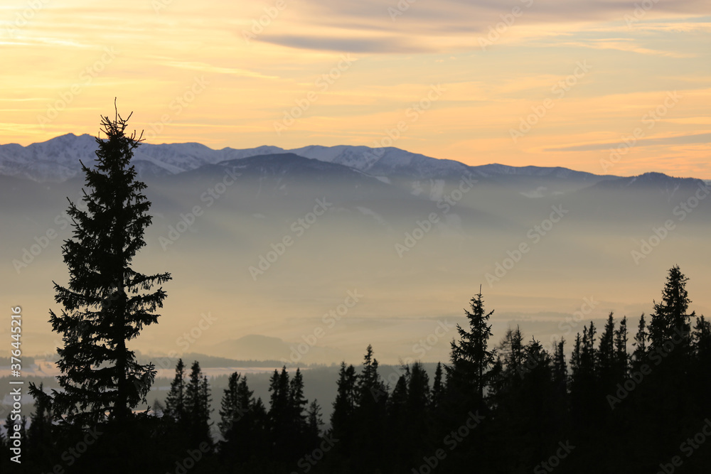 evening landscape with trees silhouettes in mountains