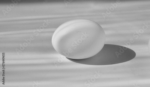 White chicken eggs on a light background.