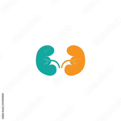 kidney logo vector