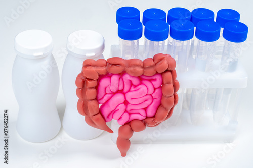 Gastrointestinal tract. Pro...