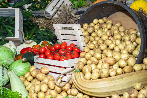 Vegetable still life. Agric...