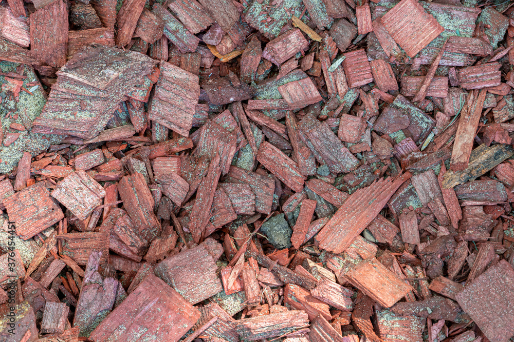 background of many red wood chips, splinters close up background of many red wood chips, splinters close up