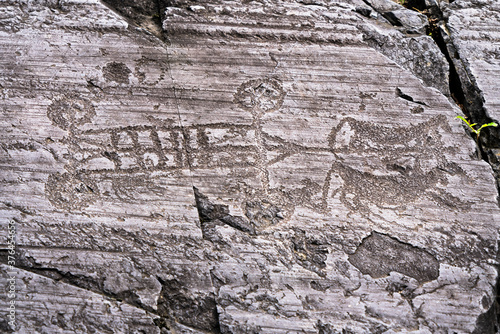 Rock engraving of four wheeled cart pulled by oxen, Naquane National Park, Capo di Ponte, Valcamonica (Val Camonica, Brescia province, Lombardy photo